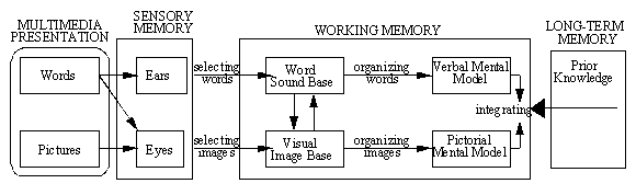 Mayer model